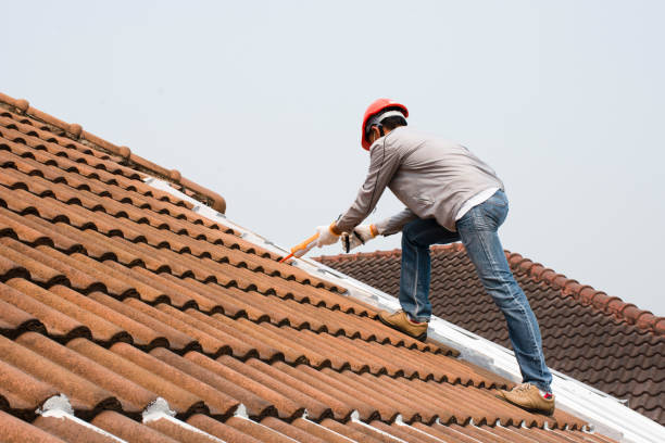 Best Green or Eco-Friendly Roofing Solutions  in Keaau, HI
