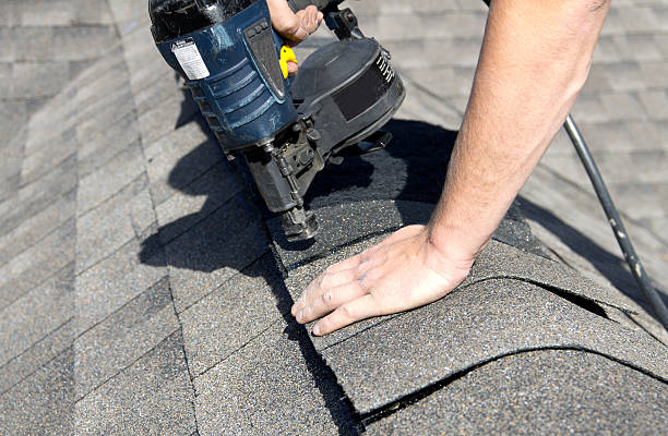 Best Asphalt Shingle Roofing  in Keaau, HI